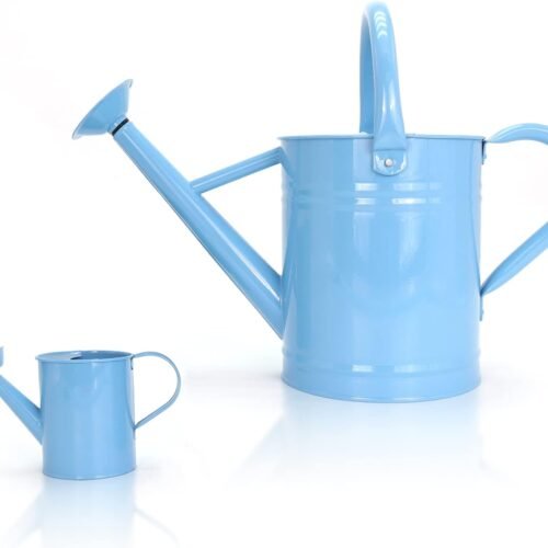Metal Watering Can for Outdoor and Indoor Plants with Removable Spout