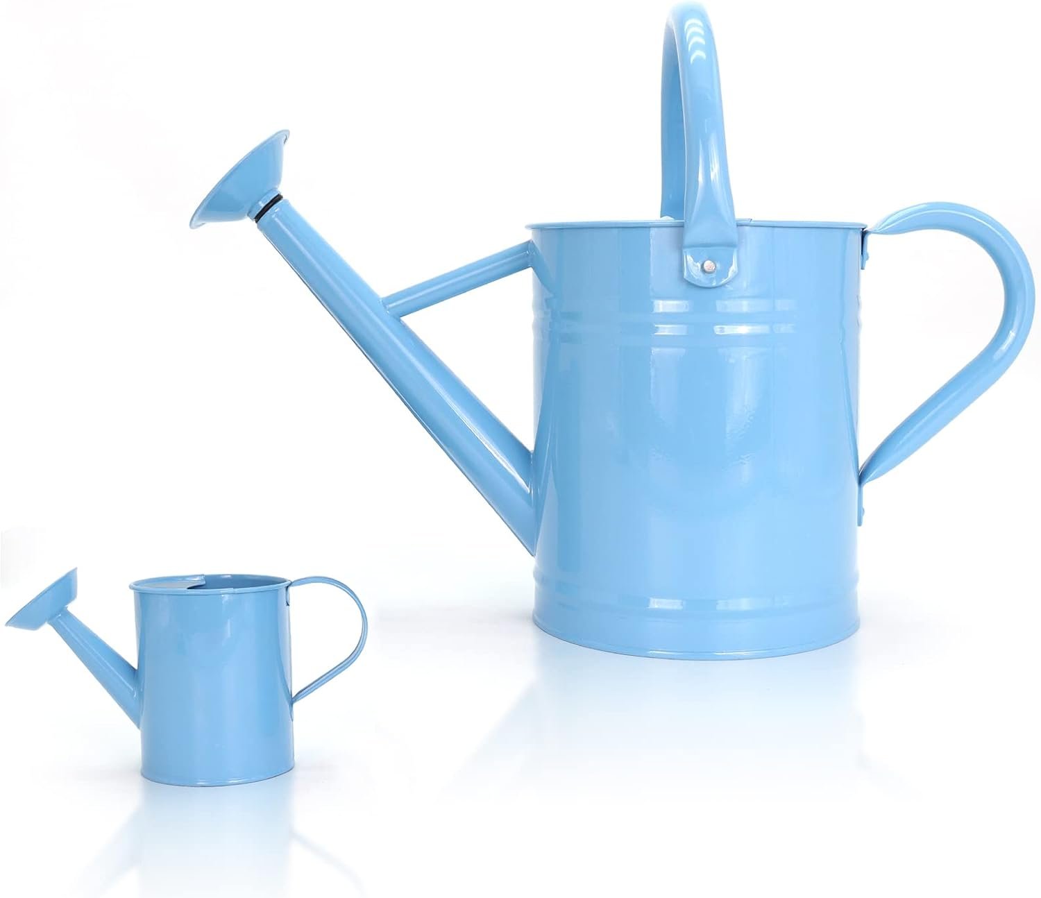 Metal Watering Can for Outdoor and Indoor Plants with Removable Spout