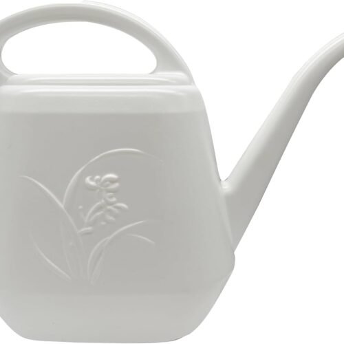 Watering Can for Home Garden