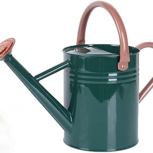 Metal Watering Can for Outdoor and Indoor Plants