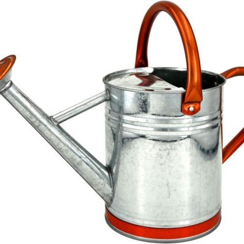 Metal Watering Can for Outdoor Plants Galvanized Steel with Removable Spout