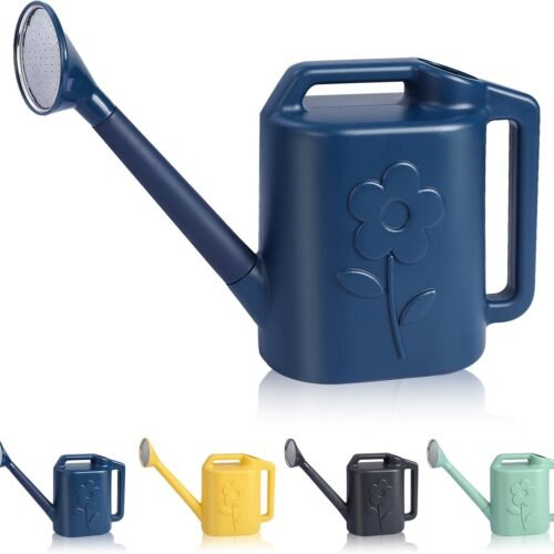 Watering Can for Indoor Plants with Removable Long Spout and Shower Head