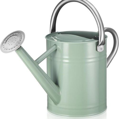 Watering Can for Outdoor and Indoor Plants Metal with Sprinkler Head
