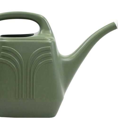 Watering Can with Removable Nozzle Spout Two Handles Wide Mouth for Indoor and Outdoor Use
