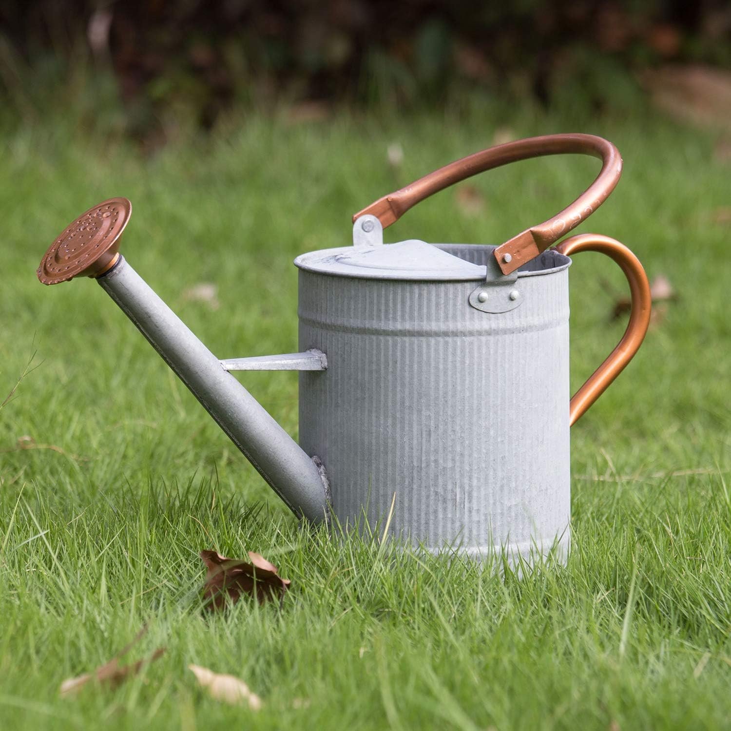 Watering Can Metal with Removable Spout for Indoor and Outdoor Use